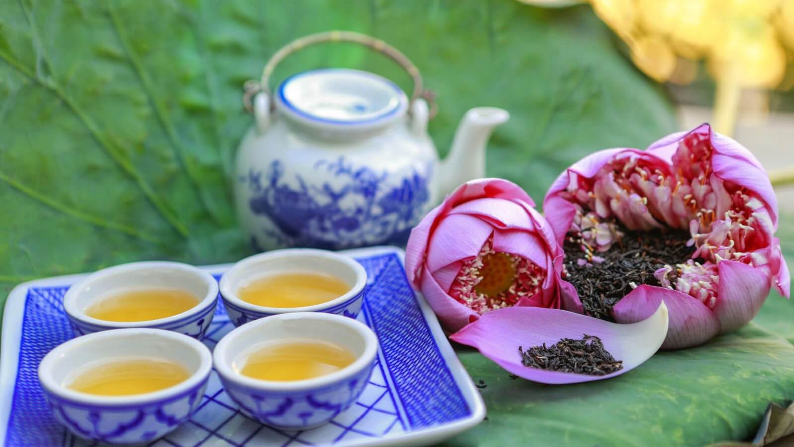 Tách trà sen nóng hổi với cánh hoa sen tươi gợi nhớ về những buổi sáng thanh bình