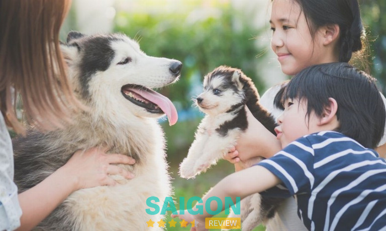 Những đánh giá tích cực từ khách hàng là minh chứng cho uy tín của cửa hàng