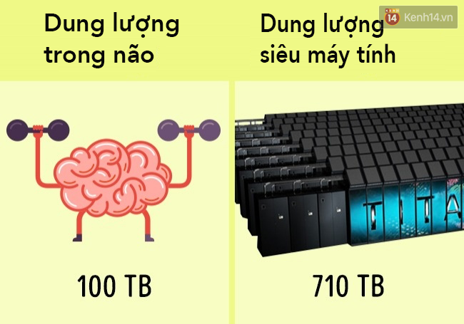 Một người đang cẩn thận so sánh các lựa chọn dịch vụ thành lập công ty trên máy tính