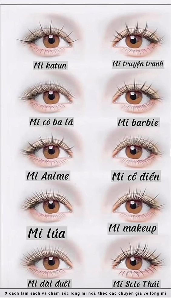 Các sản phẩm chăm sóc mi nối tại nhà giúp kéo dài tuổi thọ và giữ cho mi luôn khỏe đẹp