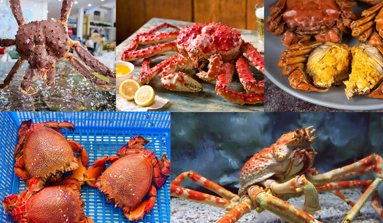 Top 22 Địa chỉ ăn cua và các món liên quan tới cua ngon nhất tại TP. HCM
